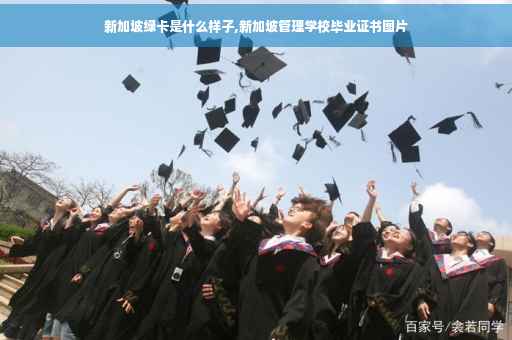 新加坡绿卡是什么样子,新加坡管理学校毕业证书图片