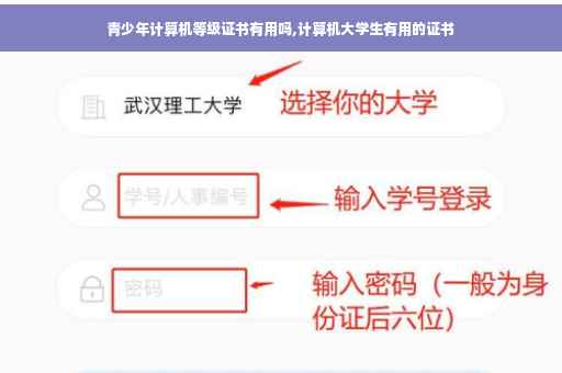 青少年计算机等级证书有用吗,计算机大学生有用的证书