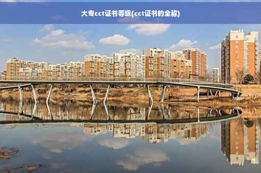 大专cct证书等级(cct证书的全称)