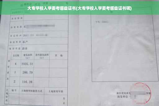 大专学校入学要考哪些证书(大专学校入学要考哪些证书呢)