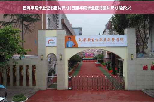 日照学院毕业证书图片尺寸(日照学院毕业证书图片尺寸是多少)