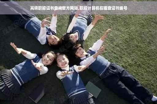 高级职称证书查询官方网站,职称计算机在哪查证书编号