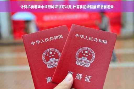 计算机有哪些中级职称证书可以用,计算机初级技能证书有哪些