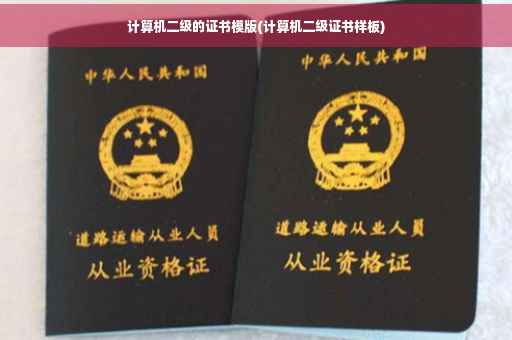 计算机二级的证书模版(计算机二级证书样板)