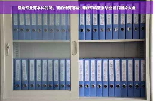 空乘专业有本科的吗，有的话有哪些-川影专科空乘毕业证书图片大全