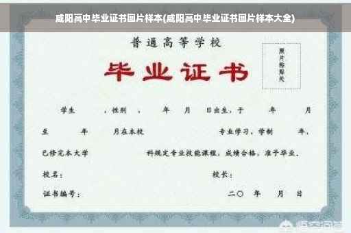 咸阳高中毕业证书图片样本(咸阳高中毕业证书图片样本大全)