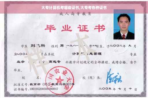 大专计算机考哪些证书,大专考各种证书