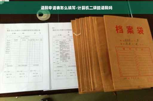 退税申请表怎么填写-计算机二级能退税吗