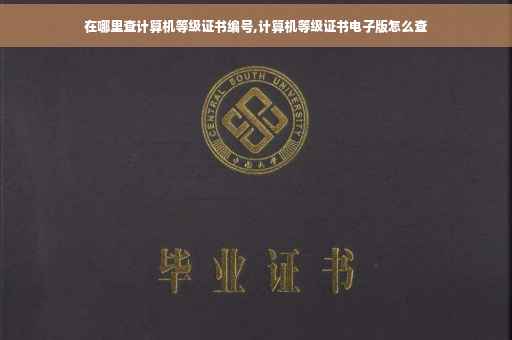 在哪里查计算机等级证书编号,计算机等级证书电子版怎么查