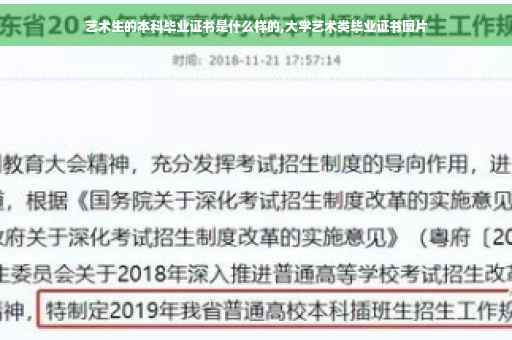 艺术生的本科毕业证书是什么样的,大学艺术类毕业证书图片