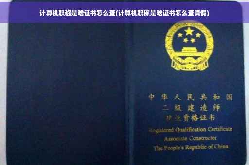 计算机职称是啥证书怎么查(计算机职称是啥证书怎么查真假)