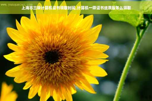 上海市三级计算机证书领取时间,计算机一级证书纸质版怎么领取