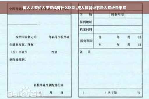 成人大专和大学专科有什么区别,成人教育证书是大专还是中专 成人大专和大学专科有什么区别,成人教育证书是大专还是中专