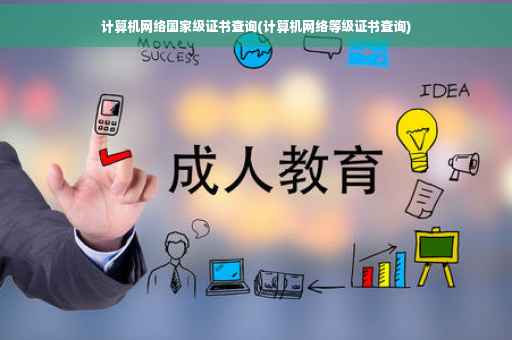 计算机网络国家级证书查询(计算机网络等级证书查询)