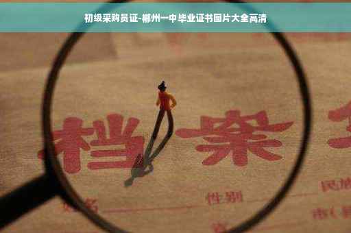 初级采购员证-郴州一中毕业证书图片大全高清