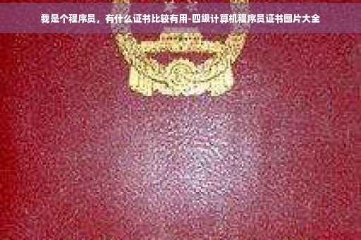 我是个程序员，有什么证书比较有用-四级计算机程序员证书图片大全