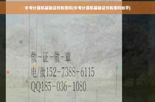 中专计算机基础证书有用吗(中专计算机基础证书有用吗知乎)