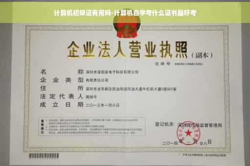 计算机初级证有用吗-计算机自学考什么证书最好考