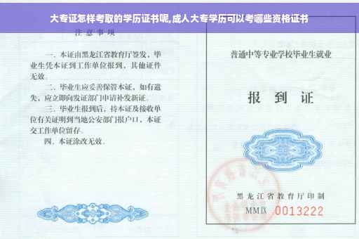 大专证怎样考取的学历证书呢,成人大专学历可以考哪些资格证书