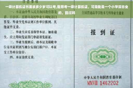 一级计算机证书要求多少岁可以考,我想考一级计算机证，可是我是一个小学没毕业的，能过吗