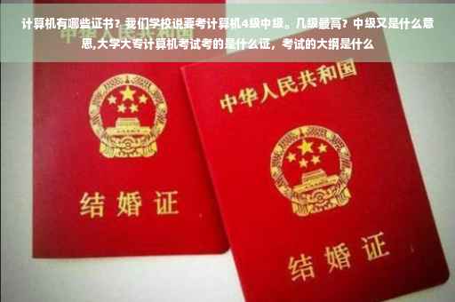 计算机有哪些证书？我们学校说要考计算机4级中级。几级最高？中级又是什么意思,大学大专计算机考试考的是什么证，考试的大纲是什么