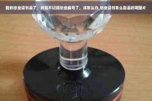 我的毕业证书丢了，并且不记得毕业编号了，该怎么办,毕业证书怎么防丢的呢图片