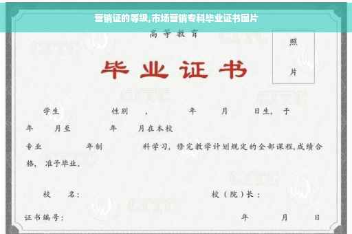 营销证的等级,市场营销专科毕业证书图片