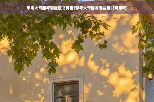 想考大专能考哪些证书有用(想考大专能考哪些证书有用呢)