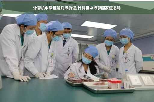 计算机中级证是几级的证,计算机中级算国家证书吗