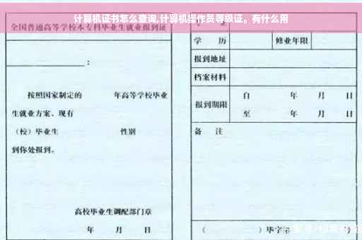计算机证书怎么查询,计算机操作员等级证。有什么用
