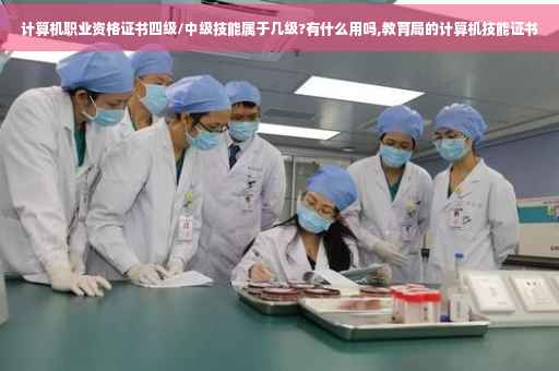 计算机职业资格证书四级/中级技能属于几级?有什么用吗,教育局的计算机技能证书