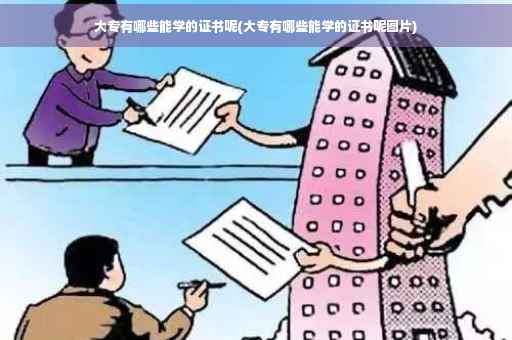 大专有哪些能学的证书呢(大专有哪些能学的证书呢图片)