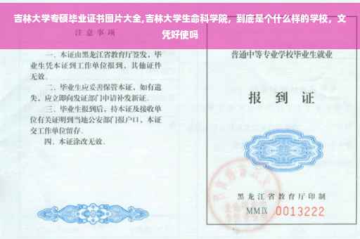 吉林大学专硕毕业证书图片大全,吉林大学生命科学院，到底是个什么样的学校，文凭好使吗