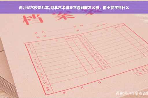湖北省艺校是几本,湖北艺术职业学院到底怎么样，能不能学到什么