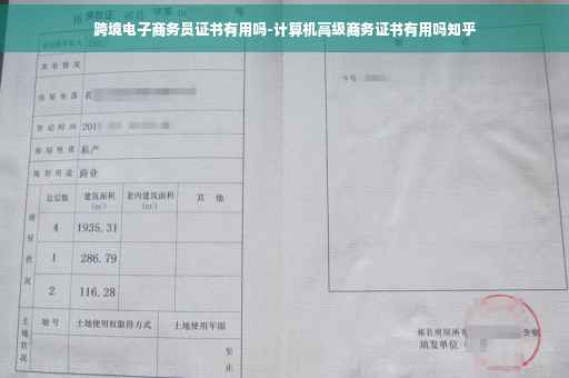 跨境电子商务员证书有用吗-计算机高级商务证书有用吗知乎