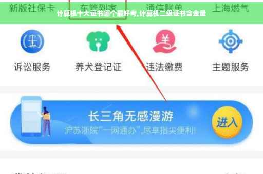 计算机十大证书哪个最好考,计算机二级证书含金量 计算机十大证书哪个最好考,计算机二级证书含金量