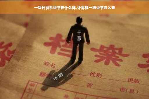 一级计算机证书长什么样,计算机一级证书怎么查