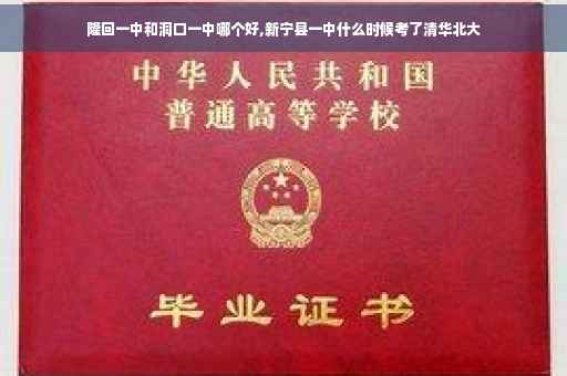 隆回一中和洞口一中哪个好,新宁县一中什么时候考了清华北大