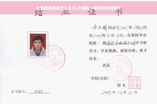 计算机四级是什么水平,计算机一级四级证书图片