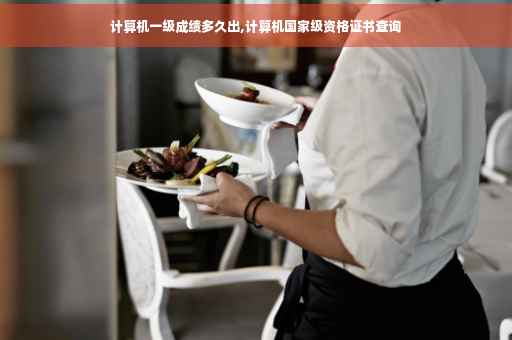 计算机一级成绩多久出,计算机国家级资格证书查询