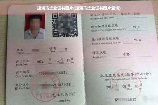 琼海市毕业证书图片(琼海市毕业证书图片查询)