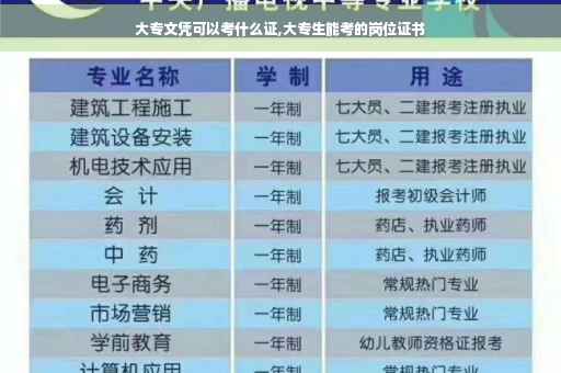 大专文凭可以考什么证,大专生能考的岗位证书