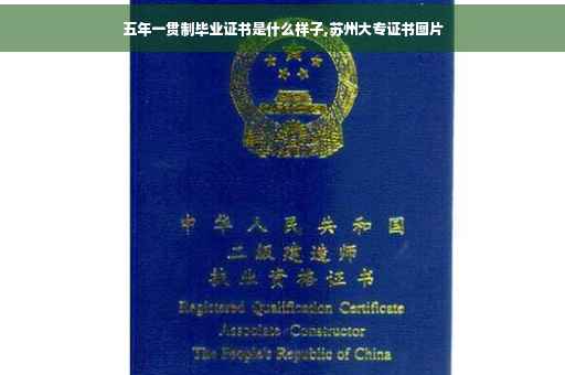 五年一贯制毕业证书是什么样子,苏州大专证书图片