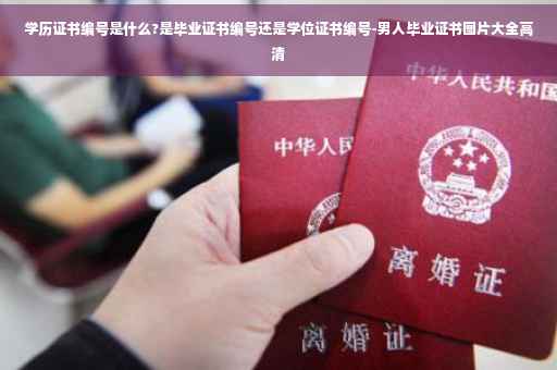 学历证书编号是什么?是毕业证书编号还是学位证书编号-男人毕业证书图片大全高清