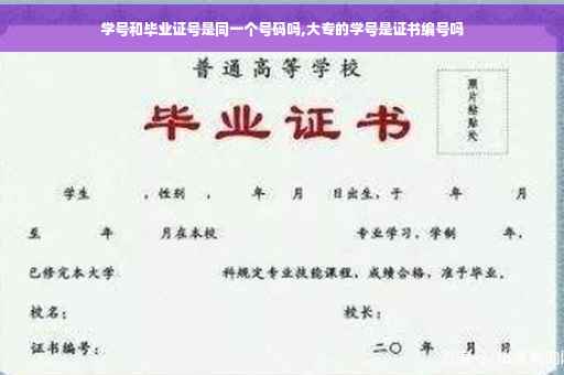 学号和毕业证号是同一个号码吗,大专的学号是证书编号吗