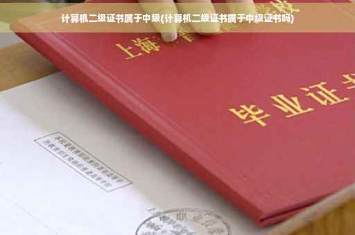 计算机二级证书属于中级(计算机二级证书属于中级证书吗)