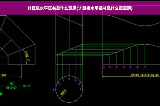 计算机水平证书是什么意思(计算机水平证书是什么意思啊)