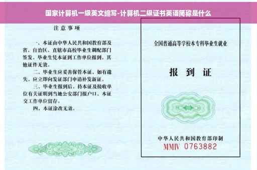 国家计算机一级英文缩写-计算机二级证书英语简称是什么