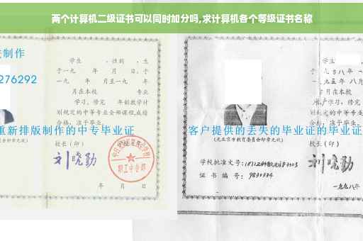 两个计算机二级证书可以同时加分吗,求计算机各个等级证书名称