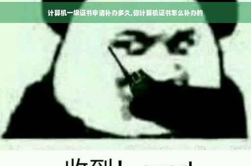 计算机一级证书申请补办多久,你计算机证书怎么补办的